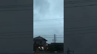 昨夜の雷雨⚡️