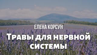 Фитотерапевт Елена Корсун \