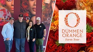 JFTV: Dummen Orange Ecuadorian Rose Showroom/Farm Tour 2019