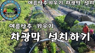 여름상추 키우기 (차광막설치하기)끼륵이 의 전원일기.끼륵아놀자TV