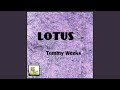 Lotus (Original mix)