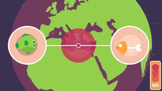 Climate Change Animation Shows Devastating Effects