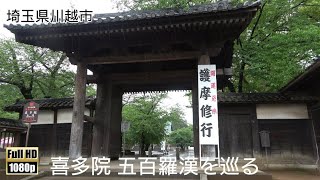 埼玉県川越市は川越大師 喜多院に行ってきた【参拝】