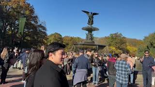 Cental park in the fall is a wholevibe🍁🍁🍁#NYC#autumn vibe 2024