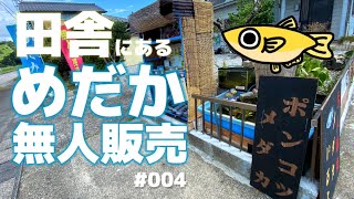 田舎にあるめだか無人販売に行ってきた！#004   #めだか #アクアリウム