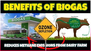 Reducing Methane Emissions in Dairy Farms: A Guide to Combat Ozone Depletion | Benefits of Biogas
