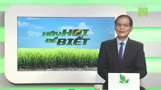 Nguyên nhân gà chướng diều, bỏ ăn, rồi chết | Hãy hỏi để biết 27/11/2019 | VTC16