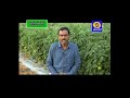 scientific cultivaiton of tomato_ವೈಜ್ಞಾನಿಕ ವಿಧಾನದಲ್ಲಿ ಟೊಮೆಟೋ ಬೆಳೆ