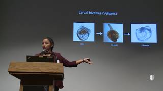 SBU Postdoc Spotlight 2017: Maria Rosa