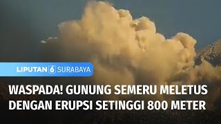 Gunung Semeru Meletus dengan Erupsi Setinggi 800 Meter | Liputan 6 Surabaya