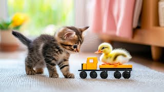 Friendship between a tiny kitten and a duckling | Cult of Kittens AI