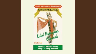 Kutut Manggung Cekikrek