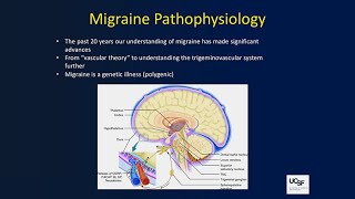Brainstem Anatomy and Introduction to Headache Medicine