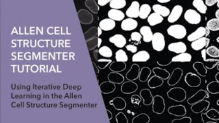 Allen Cell Structure Segmenter Tutorial | Using Iterative Deep Learning
