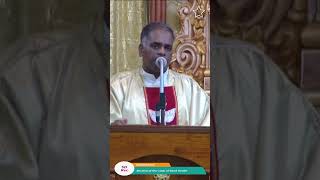 மறையுரை | பொதுக்காலம் 17ஆம் வாரம் - புதன் | Vailankanni Shrine Basilica | The Homily | Sermon