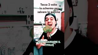 Non guardare il suono #memes #vent #cat #funny #roleplay #play #youtubeshorts #iscriviti #foryou