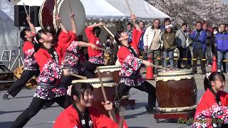 開成山桜まつり（帝京安積高等学校）郡山市