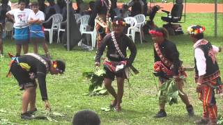 20150718卑南族初鹿部落小米收穫祭