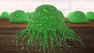 Killing Mold Spore Animation