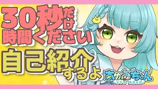 【赤ちゃんVtuber】30秒で分かるVtuberあゆちゃん【自己紹介動画】