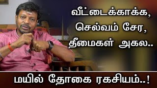 மயில் தோகை ரகசியம்..! || செல்வ வளம் பெற || தீமைகள் நன்மையாய் மாற..@Sadhgurusaicreations