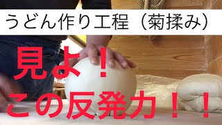 讃岐うどん  作業工程の団子づくり（菊揉み）