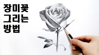 [ENG]혼자 시작하는 연필소묘 - 장미꽃 그리기 / 드로잉, 기초소묘, Basic pencil drawing