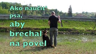 Ako naucit psa, aby brechal na povel 2018