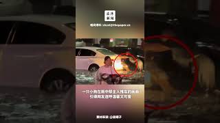 “这个家没我不行”暴雨中狗狗帮主人推车，画面温馨又可爱