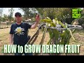 HOW to GROW DRAGON FRUIT / OVER 1 HOUR of the BASICS / FROM SOIL to FRUIT TASTING (3.0)