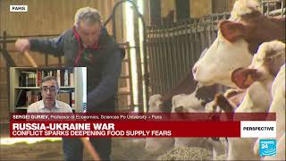 Economics Professor Sergei Guriev: ‘War in Ukraine could lead to meltdown of global food system’
