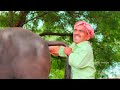 ಇವತ್ತ ಬಿಡಾಂಗಿಲ್ಲ ತಗದ ತಗಿತನ್ shankar ambiger jamkhandi comedyvideo uttarkarnataka kannada