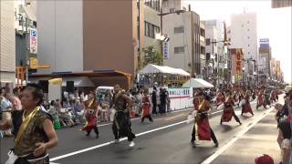 ２０１５　松山まつり　野球拳おどり　アクトス魂連