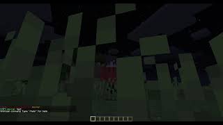 Minecraft | HYPIXEL NICK PLUGIN | Copy / Remake |