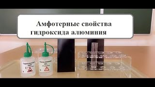 8 класс. Химия. Амфотерные свойства гидроксида алюминия.