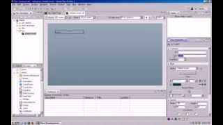 Flex Flash ActionScript Application