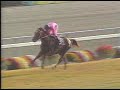 競馬1992年 菊花賞 ライスシャワー