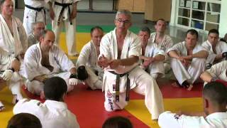 Shinkyokushinkai French séminaire 2013  Shihan Jesus Talan Part 2