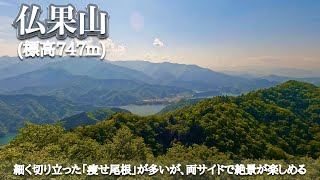 【仏果山（土山峠〜宮ヶ瀬ダム）】丹沢：