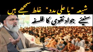 Syed Jawad Naqvi reply to , Majlisi shia | Ya Ali madad kehna kaisa hay | mahrukh speech