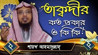 তাক্বদীর কত প্রকার ও কি কি ᴴᴰ┇শায়খ আহমাদুল্লাহ্