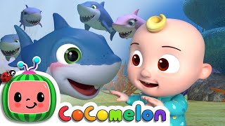 Baby Shark - Nursery Rhymes  - Kindergarten Cartoon For Kids
