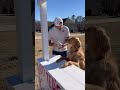 my dog started a kissing booth