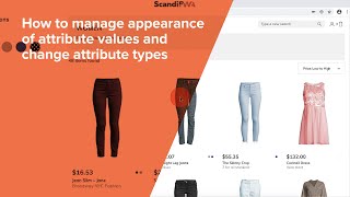 How to manage the appearance of ATTRIBUTE VALUES and change attribute types in ScandiPWA
