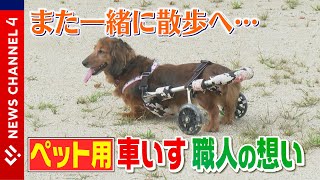 【ペット専用車いす】“また一緒に散歩を…”完全オーダーメイドのペット専用車いす専門店＜NEWS CH.4＞