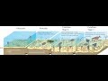 The Cambrian Explosion Pt. 2