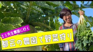 エミ先生、農園に行く！新鮮野菜収穫体験！