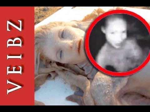 Echte Meerjungfrauen Nixen Und Wassermanner Auf Kamera Aufgenommen