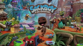 Sackboy : A Big Adventure Co-op