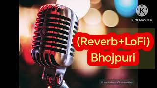Reverb+LoFi Bhojpuri | Latest 2024 Release | Use Headphones 🎧 |‎ @Tulasi_Sangeet" |